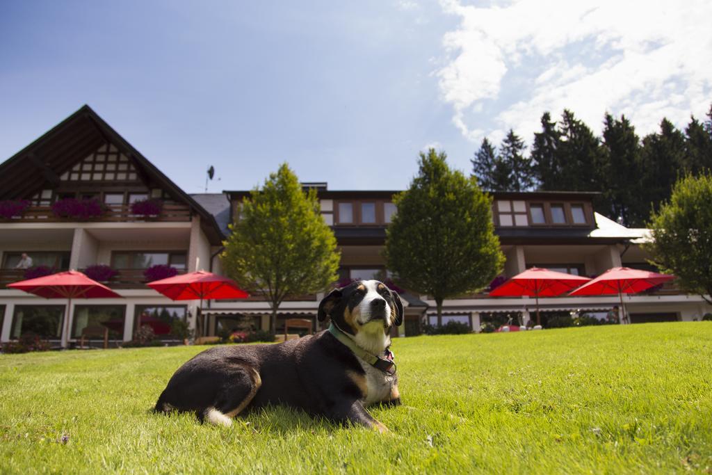 Kleins Wiese 3*